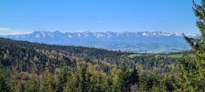Widok spod Rozdziele 1188 m n.p.m. na Tatry