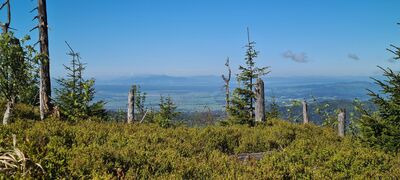 Widok na Tatry z czerwonego szlaku pod Turbaczem