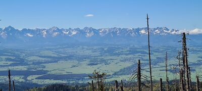 Widok na Tatry z Turbacza 1310 m n.p.m.