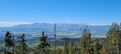 Widok na Tatry z czerwonego szklaku spod Turbacza