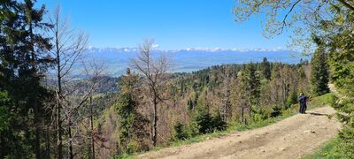 Widok na Tatry ze szlaku Konfederacji Tatrzańskiej