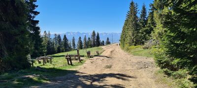 Widok na Tatry z Długich Maków
