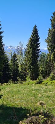 Czarny szlak na Polanie Piszczałowej z widokiem na Tatry