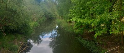 Ostróda, ul. Olsztyńska ↔ Ostróda, Plac Tysiąclecia Państwa Polskiego