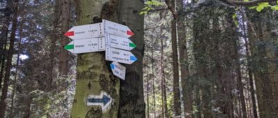 Pod Cietniem [Beskid Wyspowy - skrzyżowanie szlaków Pod Cietniem]