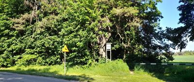 Prawiedniki, ul. Osmolicka [W tym miejscu zielony szlak odbija do lasu.]