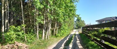 Prawiedniki ↔ Nowiny [W Nowinach.]