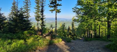 Widok z czerwonego szlaku w kierunku Ustronia