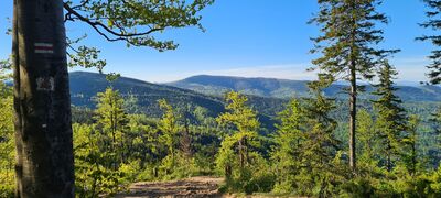 Widok z kierunku Magurek z czerwonego szlaku na wysokości zejścia do Jaskini Malinowskiej