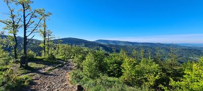 Widok na południe z okolicy Jaskini Malinowskiej