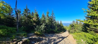 Przełęcz Malinowska (1012 m n.p.m.)