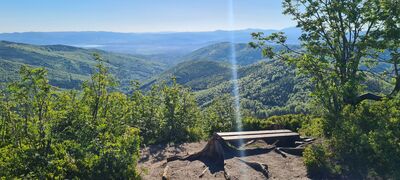Ławeczka przy rozejściu szlaków przy Malinowskiej Skale