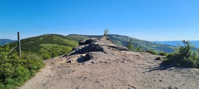 Wychodnia skalna na Malinowskiej Skale
