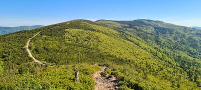 Widok na Kopę Skrzyczeńską, Małe Skrzyczne i Skrzyczne z wychodni skalnej na Malinowskiej Skale