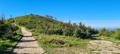 Widok z zielonego szlaku w kierunku Malinowskiej Skały