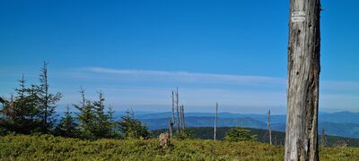 Kopa Skrzyczeńska (1189 m n.p.m.)