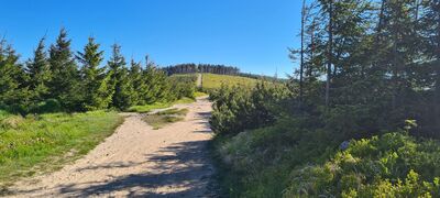 Podejście zielonym szlakiem na Małe Skrzyczne
