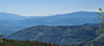 Widok na Beskid Żywiecki z zarysem Tatr z zielonego szlaku pod Małe Skrzyczne