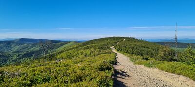 Zielony szlak pod Małe Skrzyczne