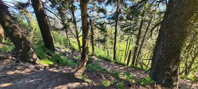 Zielony szlak pod Skrzyczne