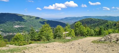 Widok z Jaworzyny w kierunku Bielsko-Białej