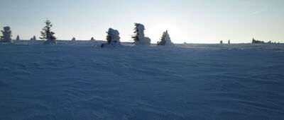 Torfowiska subalpejskie ↔ Ruiny schroniska im. Księcia Henryka