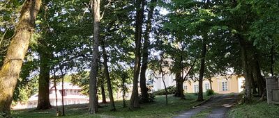 Surchów, pałac [Zespół pałacowo-parkowy w Surhowie.]