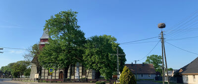 Stare Polichno [Kościół w Starym Polichnie]