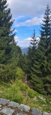 Widok w kierunku Głuszca z żółtego szlaku