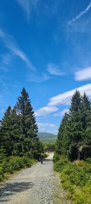 Widok na Rozdroże pod Kopą z czerwonego szlaku