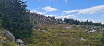 Widok z czerwonego szlaku na Sine Skałki