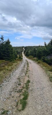 Czerwony szlak między Sinymi Skałkami a Przednią Kopą