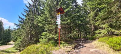 Rozdroże pod Izerskimi Garbami