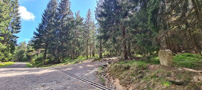 Zielony szlak na wysokości 850 m n.p.m. W tym miejscu łączy się szeroki, łagodny, utwardzany trakt z dość stromym podejściem wśród konarów drzew