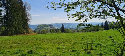 Widok na wschód z niebieskiego szlaku w okolicy Czerwonego Buka