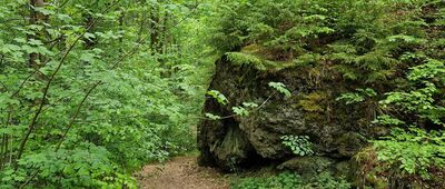 Odejście szlaku czarnego ↔ Odejście szlaku żółtego [Zółty szlak]