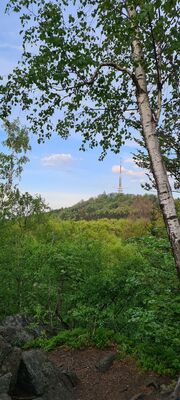 Widok na Ślężę z punktu widokowego na niebieskim szlaku