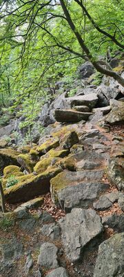 Skalna Perć (niebieski szlak na Ślężę)