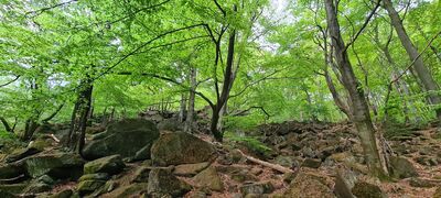 Ścieżka pod skałami