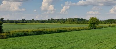 Spiczyn ↔ Rozkopaczew [W oddali ruiny zamku w Zawieprzycach.]