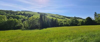 Polana ↔ Chyrowa, droga do schroniska [widok na Chyrową]