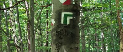 Rozejście szlaków [Znów coś czerwonego]
