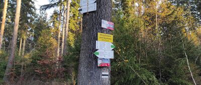 Skrzyżowanie pod Gruntową