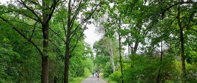 Powsin, Polana Widokowa ↔ Powsin, klubokawiarnia