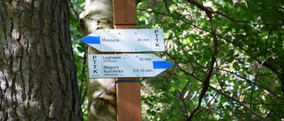 Borysów, granica