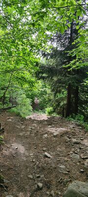 Podejście przed Krzyżem Papieskim pod Mogielicą