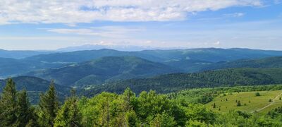 Widok na Tatry z wieży widokowej na Mogielicy