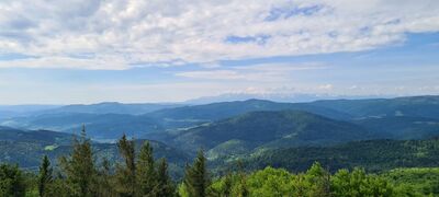Widok na Tatry z wieży widokowej na Mogielicy