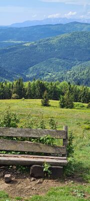 Pozostałości ławeczek na Polanie Stumorgowej