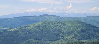 Widok na Tatry z Polany Stumorgowej